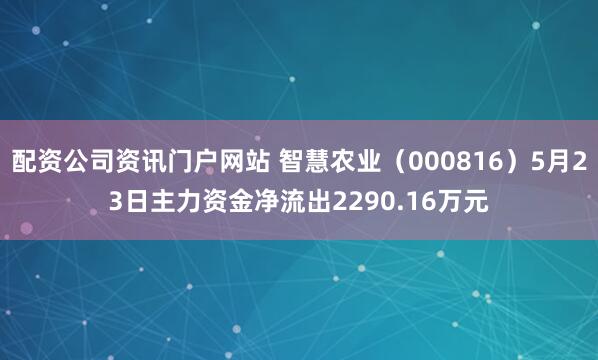 配资公司资讯门户网站 智慧农业（000816）5月23日主力资金净流出2290.16万元